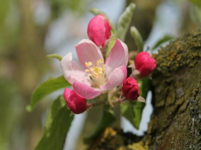 Holiday house Ferienhaus in Brusow mit überdachter Terrasse - Outdoor photo 36