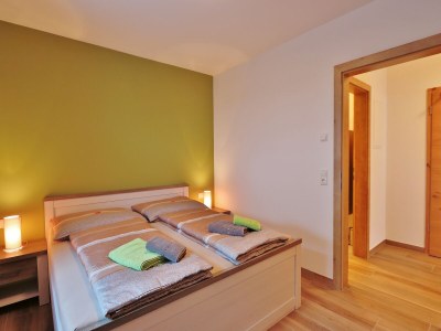 Apartment Apartment in Piesendorf near Ski Slopes - Features photo 9