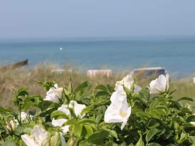 Apartment Geräumige Ferienwohnung mit Garten in Brusow - Environment photo 21