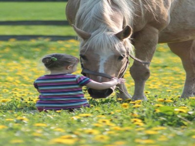Apartment Geräumige Ferienwohnung mit Garten in Brusow - Outdoor photo 40