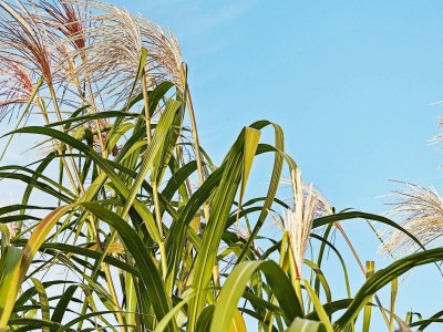 Holiday house 18 Personen Ferienhaus in Hasselberg - Outdoor photo 7