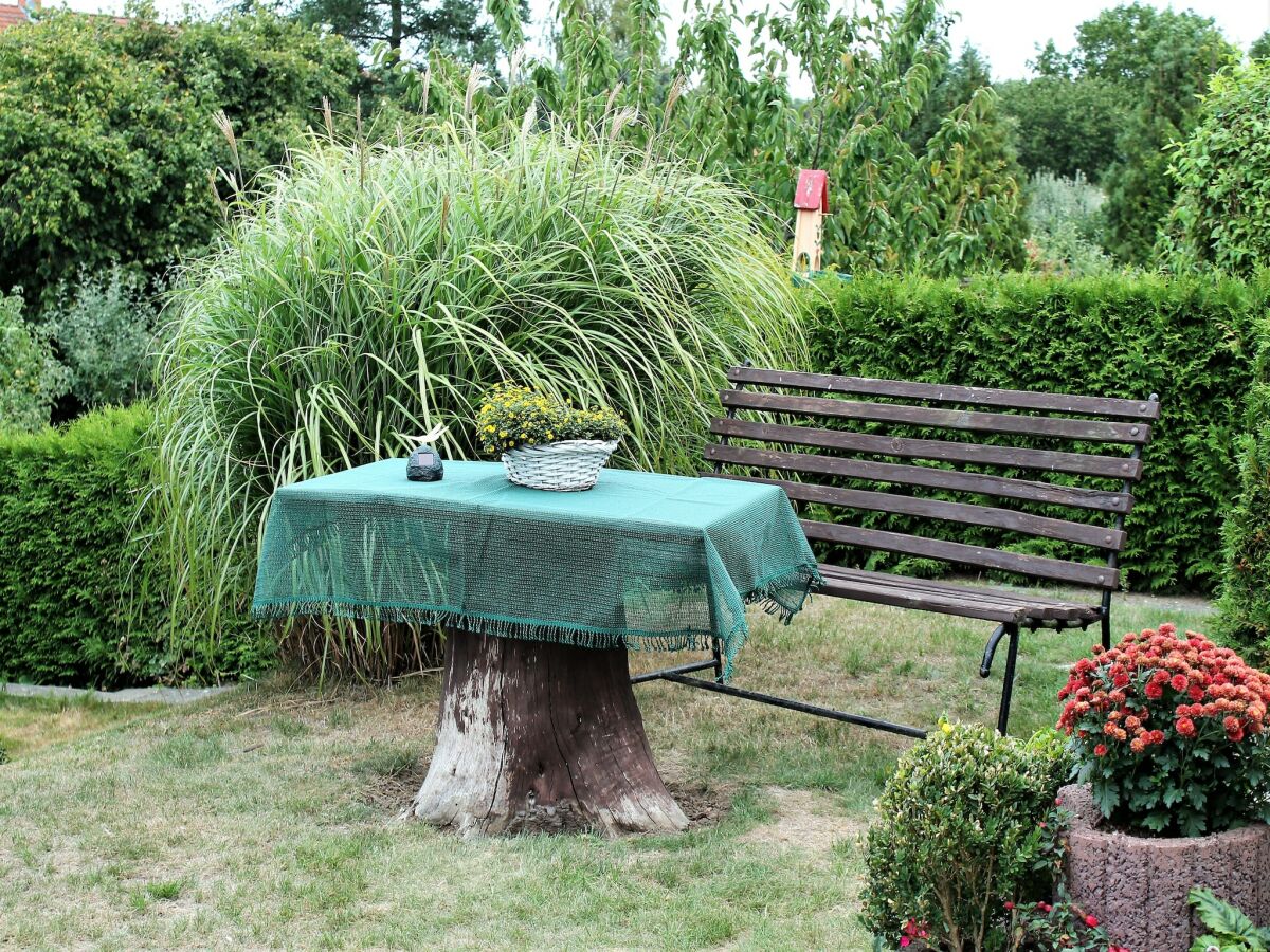 Apartment Ferienwohnung Jutta in der Nähe der Ostsee - Outdoor photo 2