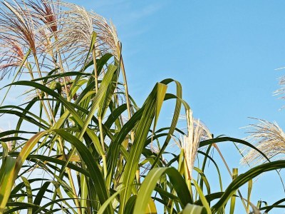 Holiday house 16 person holiday home in Hasselberg - Outdoor photo 16