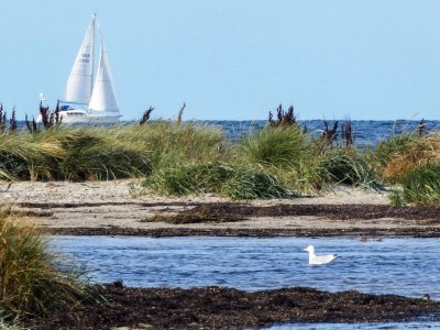 Holiday house 4 Personen Ferienhaus in Wendtorf - Outdoor photo 34