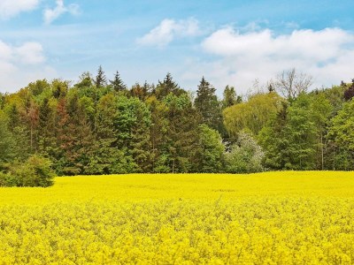 Holiday house 20 Personen Ferienhaus in Hasselberg - Outdoor photo 7