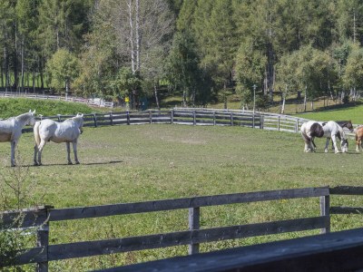 Holiday apartment Apartmenthaus Jagdhof - Environment photo 21