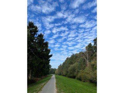 Holiday apartment Bochmann - Environment photo 13