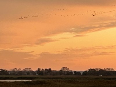 Holiday apartment Bochmann - Environment photo 18