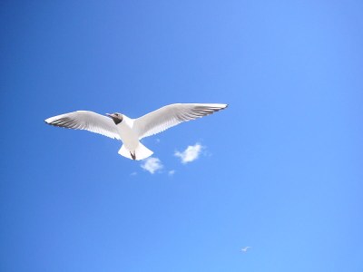 Holiday apartment Bochmann - Environment photo 21