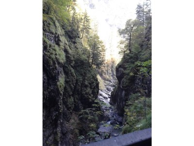 Holiday house Deist - Environment photo 21