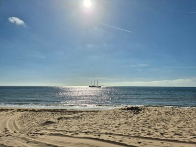 Holiday house Westduin - Environment photo 25