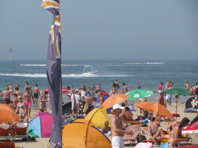 Holiday house Westduin - Environment photo 29