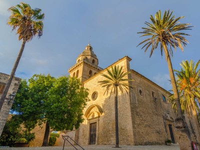 Villa Son Pujol - Environment photo 49