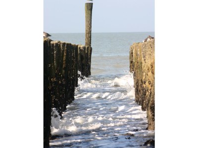 Holiday house Sterrekroos 9 - Environment photo 11