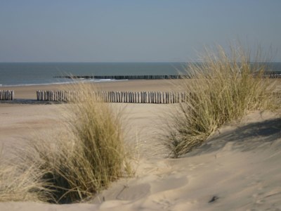 Holiday apartment Waterranonkel 12 - Environment photo 14