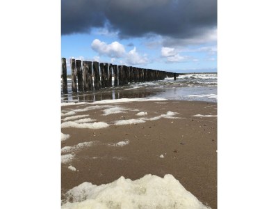 Holiday apartment Waterranonkel 12 - Environment photo 15