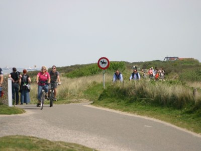 Holiday apartment Waterranonkel 12 - Environment photo 21