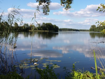 Holiday apartment Spiegel - Outdoor photo 8
