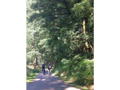 Holiday apartment Spiegel - Environment photo 19