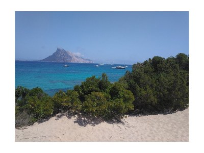 Holiday house Wellness Villa Vista Mare - Environment photo 38