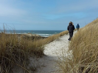 Holiday house 8 person holiday home in Saltum-By Traum - Outdoor photo 33