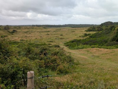 Holiday house 8 person holiday home in Saltum-By Traum - Outdoor photo 34