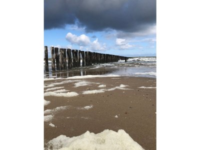 Apartment Duinhof IX E303 - Environment photo 13