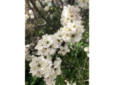 Apartment Duinhof IX E303 - Environment photo 20