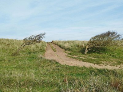 Holiday house 10 person holiday home in Løkken-By Traum - Outdoor photo 6