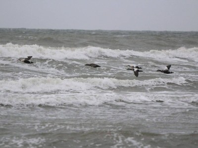 Holiday house 10 person holiday home in Løkken-By Traum - Outdoor photo 23