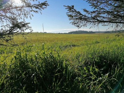 Holiday house 10 person holiday home in Løkken-By Traum - Outdoor photo 24