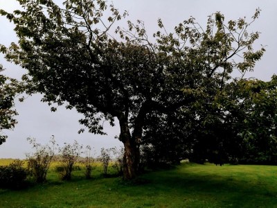 Holiday house 10 person holiday home in Løkken-By Traum - Outdoor photo 25