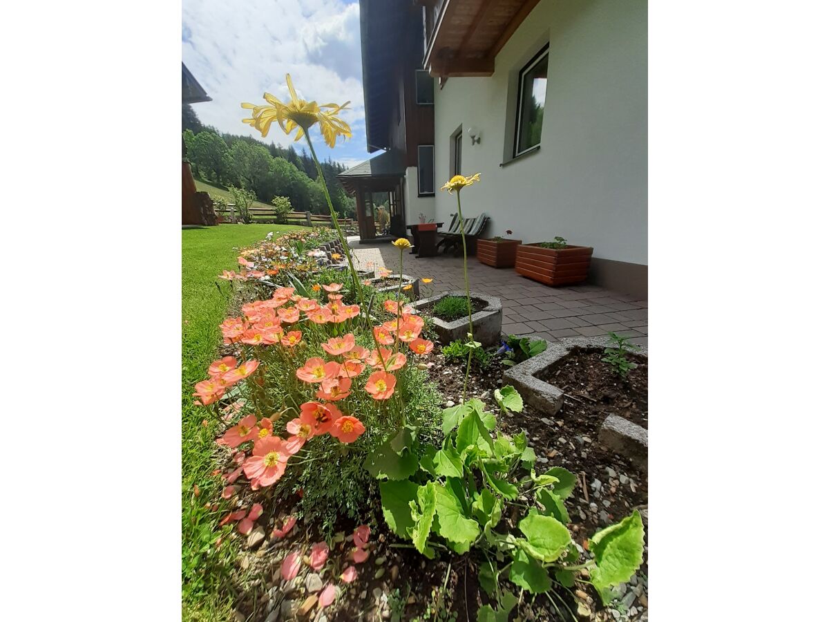 Holiday apartment In the house Bergfried - Outdoor photo 5