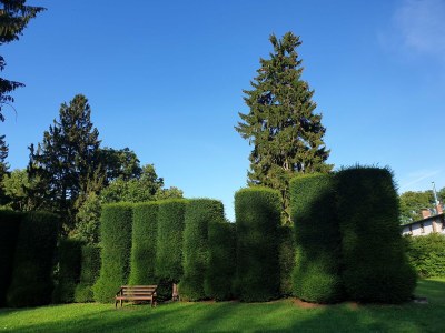 Cottage Landhaus Jakob - Environment photo 40