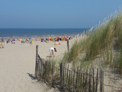 Bungalow Bungalow in Noordwijkerhout am See - Environment photo 23