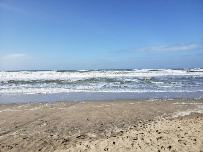 Bungalow Bungalow in Noordwijkerhout am See - Environment photo 26