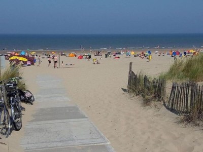 Bungalow Bungalow in Noordwijkerhout am See - Environment photo 30