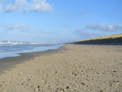 Bungalow Bungalow in Noordwijkerhout am See - Environment photo 33