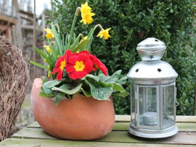 Apartment Wohnung im OT Brusow mit Garten - Outdoor photo 36