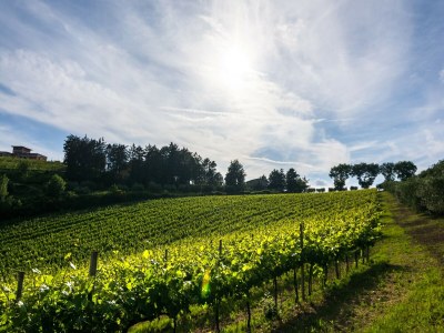 Cottage Mansion to Relax & Rejuvenate - Environment photo 31