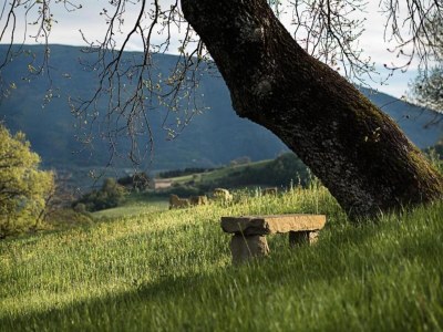 Cottage Mansion to Relax & Rejuvenate - Environment photo 34