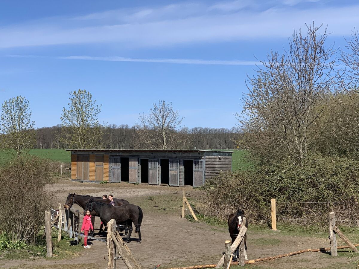 Apartment Wohnung in Semlow mit Garten und Terrasse - Outdoor photo 5
