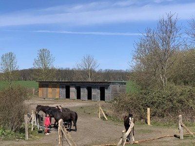 Apartment Wohnung in Semlow mit Garten und Terrasse - Outdoor photo 5