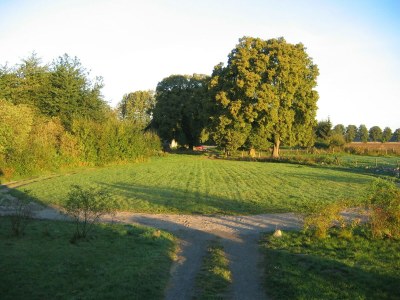 Apartment Wohnung in Semlow mit Garten und Terrasse - Outdoor photo 11