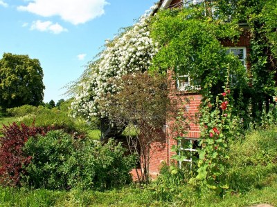 Apartment Wohnung in Semlow mit Garten und Terrasse - Outdoor photo 14