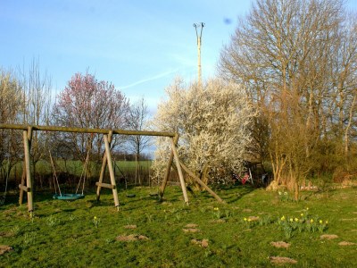 Apartment Wohnung in Semlow mit Garten und Terrasse - Environment photo 37