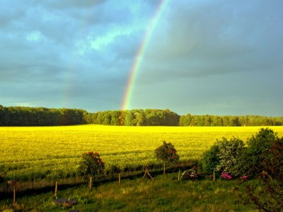 Apartment Wohnung in Semlow mit Garten und Terrasse - Outdoor photo 40