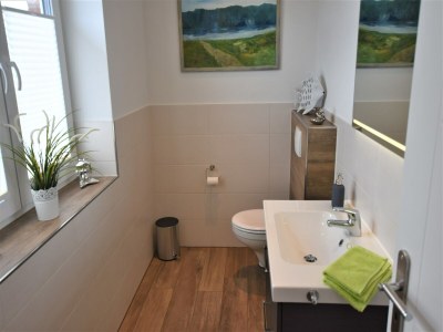 Holiday house Ferienhaus in Groß Schwansee mit Sauna - Features photo 11