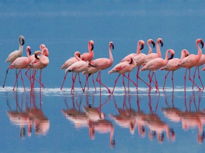 Holiday apartment Delta Blu Residence Village - Environment photo 13