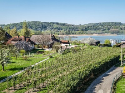 Holiday apartment - No title - - Outdoor photo 5